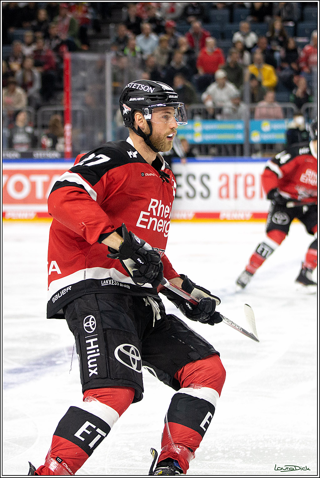 PENNY DEL; Koelner Haie- Bietigheim Steelers; Koeln, 19.11.2021